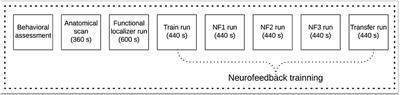 Volitional Modulation of the Left DLPFC Neural Activity Based on a Pain Empathy Paradigm—A Potential Novel Therapeutic Target for Pain
